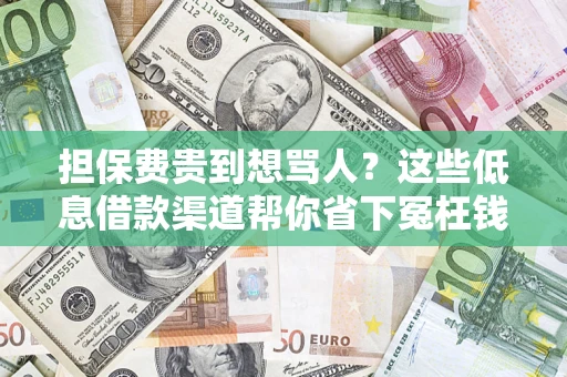 济南担保费贵到想骂人？这些低息借款渠道帮你省下冤枉钱
